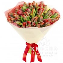 Tulpju pušķis Rokoko