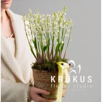 Basket with lily of the valley