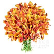 Daudzkrāsainu kallu pušķis