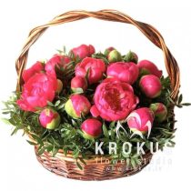 Basket of coral peonies