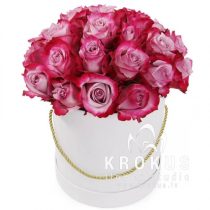 Divkrāsu rozes stilīgā cepuru kastē