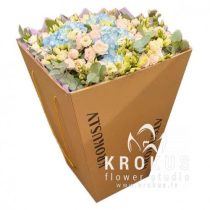 Premium BOX ar akvaboksu