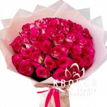 Divkrāsu rozes Nicoletta XXL 40cm