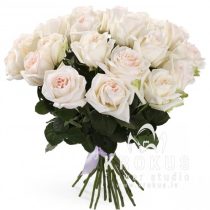 Smaržīgas peonijveida rozes