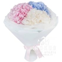 Bouquet of mixed hydrangea