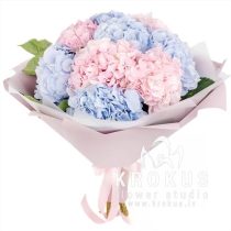 Bouquet of mixed hydrangea