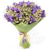 Bouquet of daisies and irises