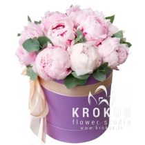 Rozā peonijas cepuru kastē