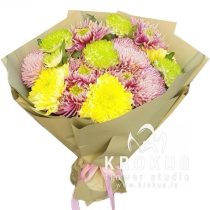 Zirnekļa krizantēma