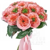 Peonveidīgas rozes "Mandarīns"