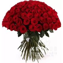 Sarkana roze 70cm  SUPER CENA!!!