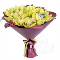 Zaļu orhideju pušķis