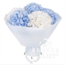 Baltas un zilas hortenzijas pušķis