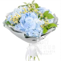 Hortenzijas un margrietiņas