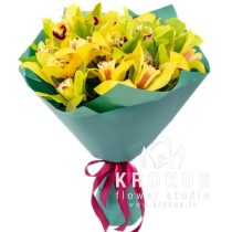 Yellow and green orchid mix