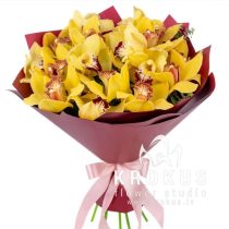 Orhideju pušķis "Kontrasti"