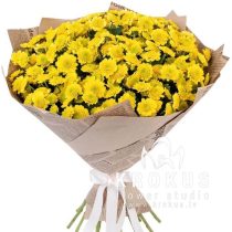 Krizantēmu pušķis Saule