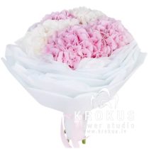 Balti rozā hortenziju pušķis