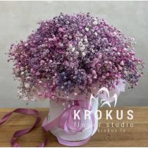 Kastīte ar ģipsofilu