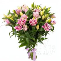 An exclusive pink lily