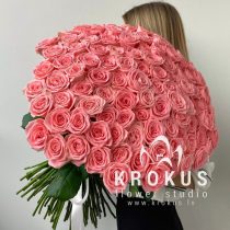 Rozes XXL Sofi Loren 70cm
