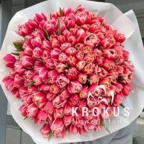 101 Peonijveida Tulpes