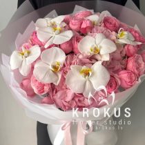 Whisper of Marshmallow