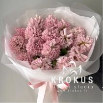 Bouquet of pink hiacintes