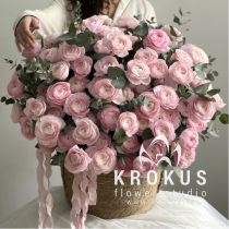 Katrai Meitenei Sapnis