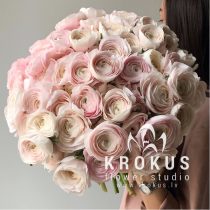 Ранункулюсы Клуни