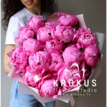 Peonijas Dr.ALEXANDER FLEMING