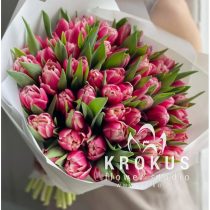 Розовые пионовидные тюльпаны