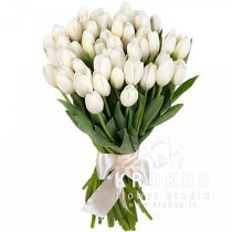 Bouquet of latvian tulips XXL
