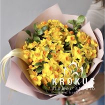 Krūmveida Narcišu pušķis