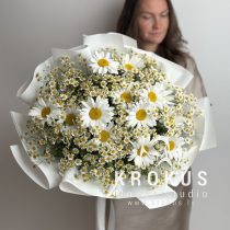 Bouquet of daisies Duo