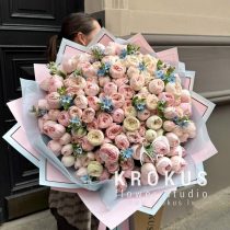 Peony tipe roses with oxipetalum
