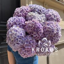 Violeto hortenziju pušķis