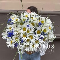 Pļavu ziedu pušķis