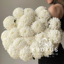 White Bigoudi Chrysanths