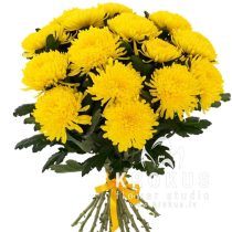 Dzelteno krizantēmu pušķis