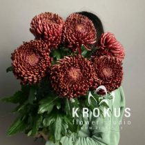 Ankara Red Chrysanthemums