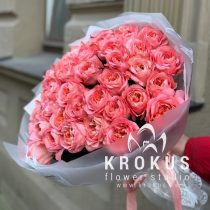 Peonveida rozes Dragonfly