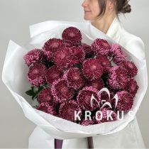 Хризантемы Бигоуди