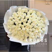 Baltas rozes 80cm XXL