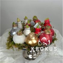 Amaryllis in wax (color of your choice or random)