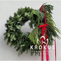 Christmas wreath with araucaria