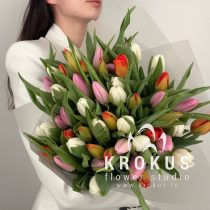 Tulips mix