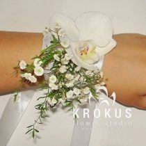 Falenopšu orhideju pušķis