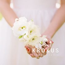 Dendrobijas orhidejas aproce