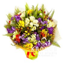 Frēziju pušķis "Skaistums"